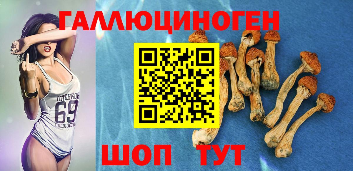Ярцево  Галлюциногенные грибы прущие грибы  Вход с VPN 
